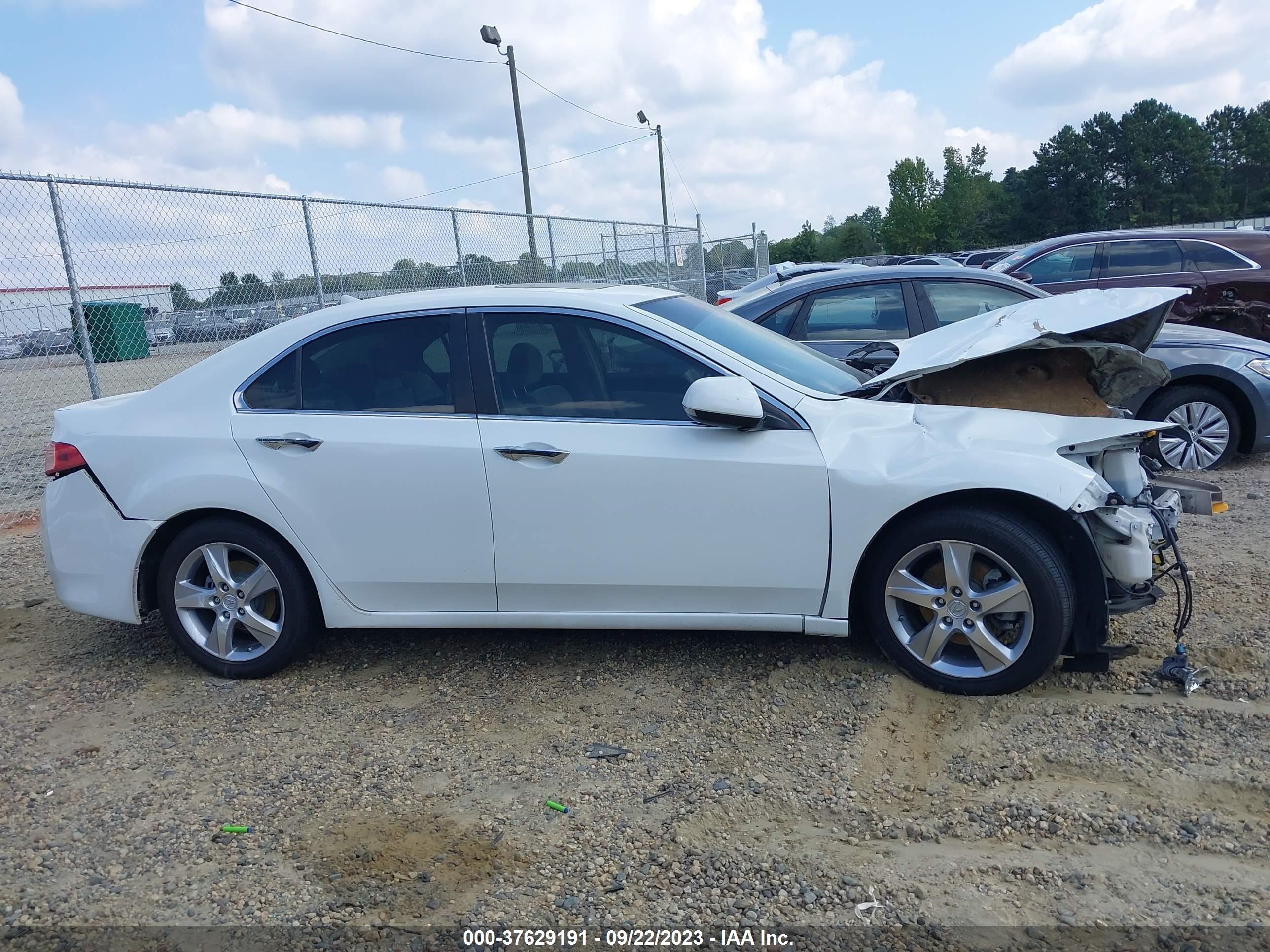 Photo 13 VIN: JH4CU2F45CC004229 - ACURA TSX 