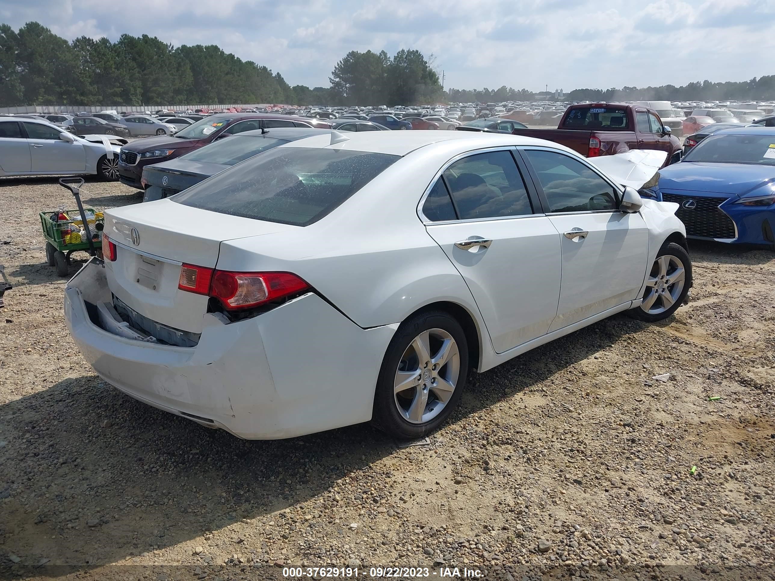 Photo 3 VIN: JH4CU2F45CC004229 - ACURA TSX 