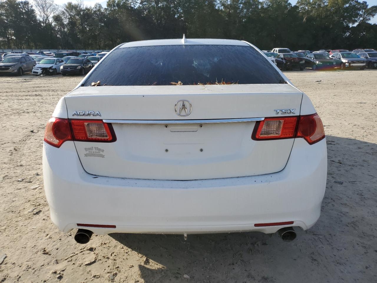 Photo 5 VIN: JH4CU2F45CC017031 - ACURA TSX 