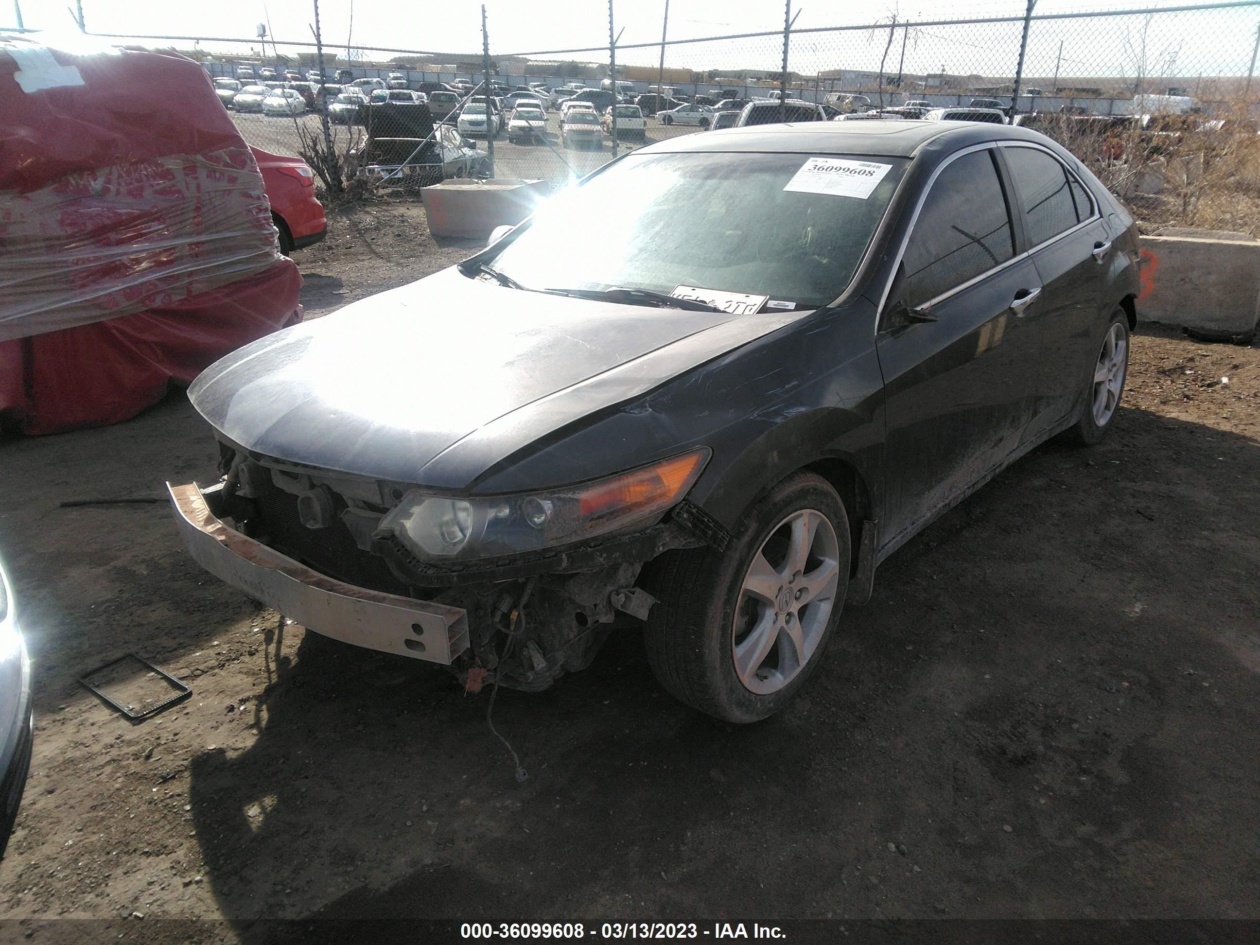 Photo 1 VIN: JH4CU2F45DC011828 - ACURA TSX 