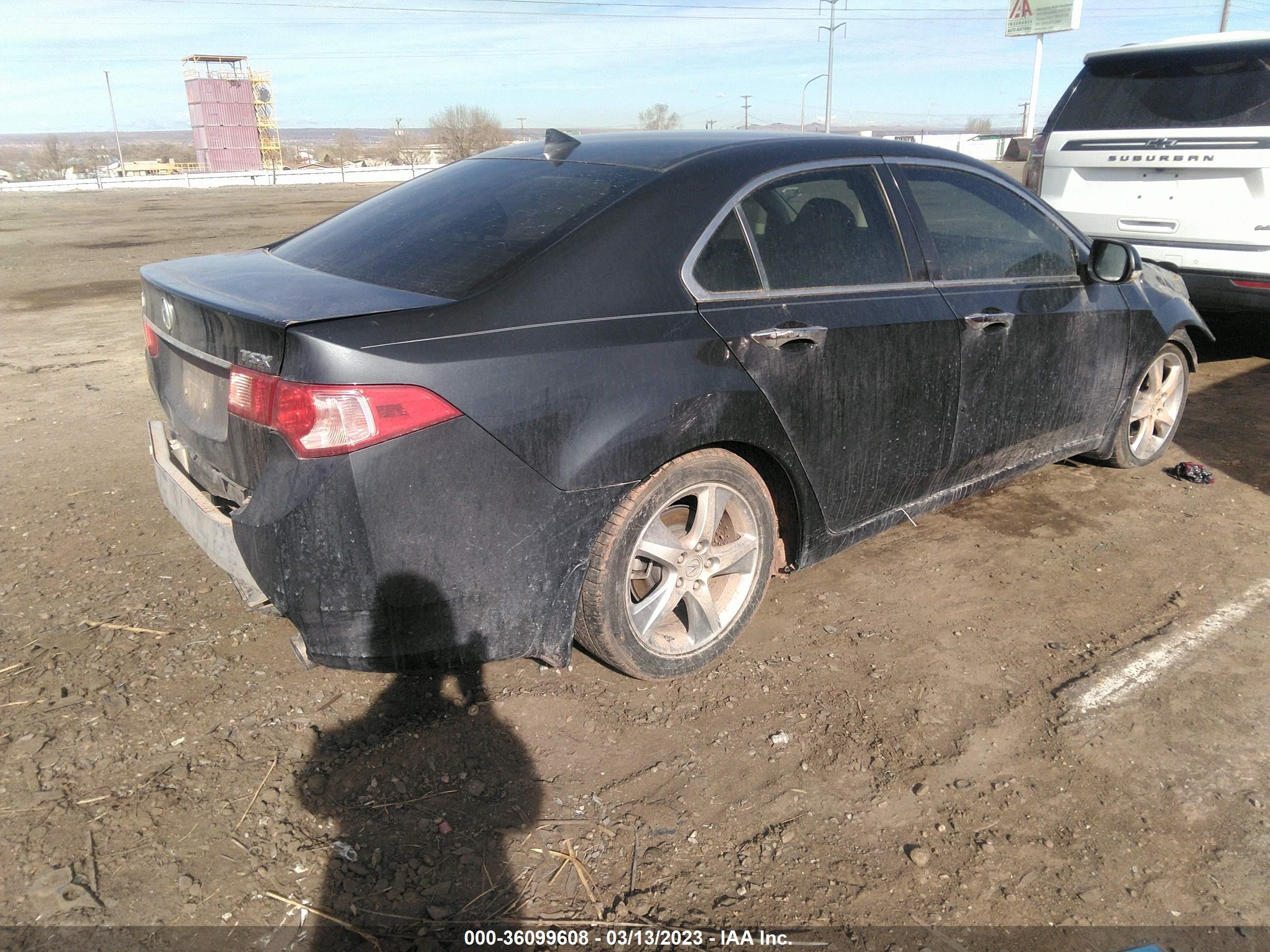 Photo 3 VIN: JH4CU2F45DC011828 - ACURA TSX 