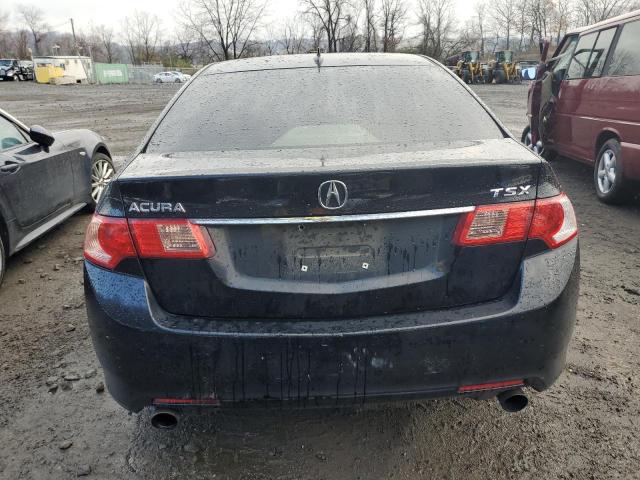 Photo 5 VIN: JH4CU2F49CC010387 - ACURA TSX 