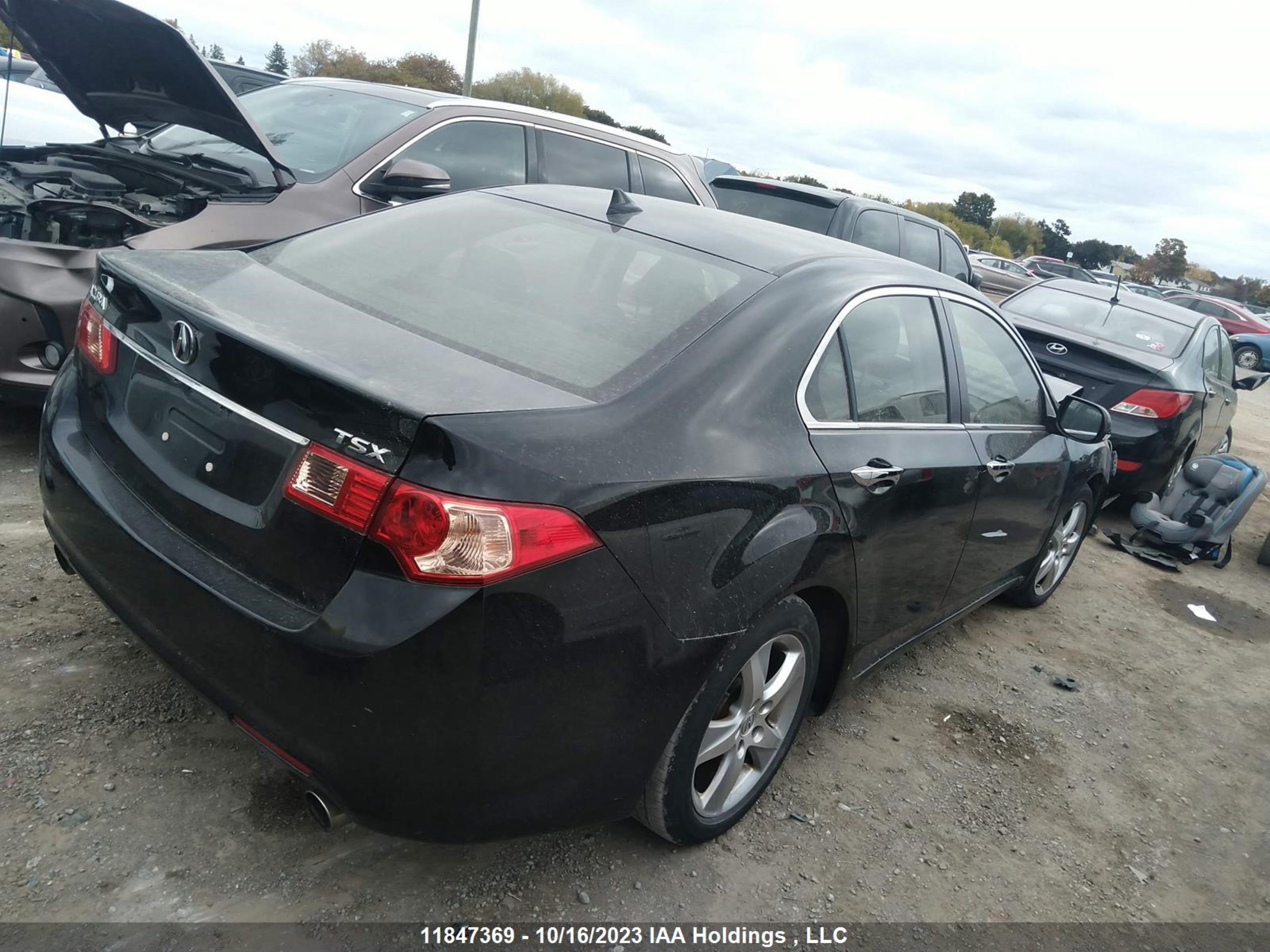 Photo 3 VIN: JH4CU2F52DC800303 - ACURA TSX 