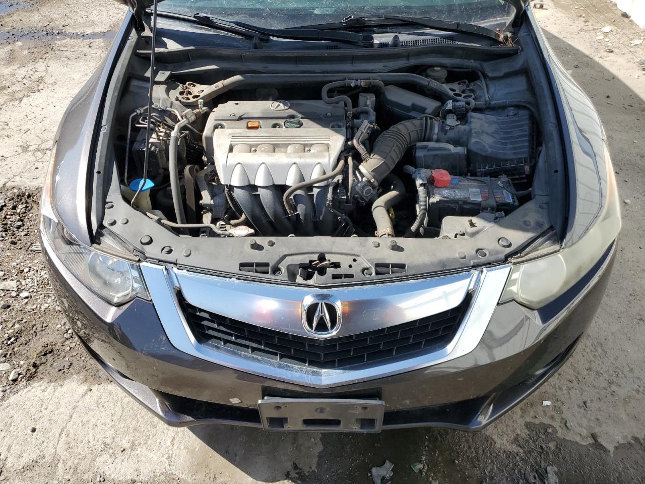 Photo 10 VIN: JH4CU2F60AC008736 - ACURA TSX 