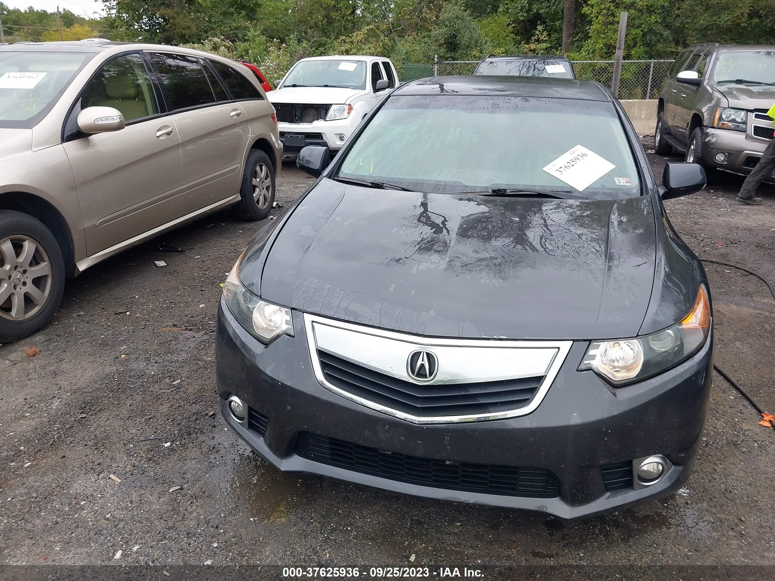 Photo 12 VIN: JH4CU2F60BC010701 - ACURA TSX 