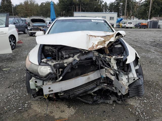 Photo 4 VIN: JH4CU2F61AC026064 - ACURA TSX 