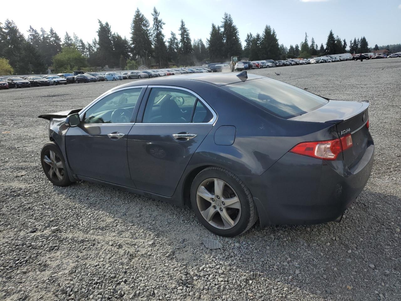 Photo 1 VIN: JH4CU2F61BC003403 - ACURA TSX 