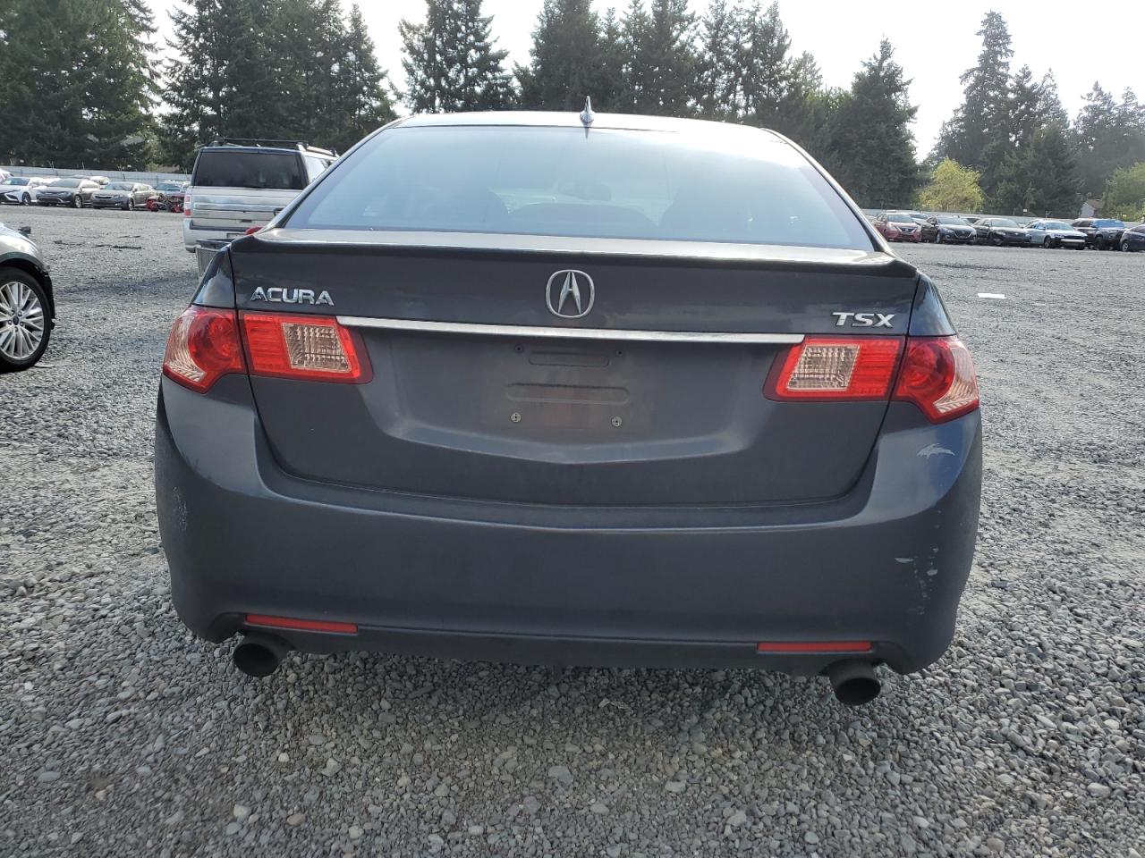 Photo 5 VIN: JH4CU2F61BC003403 - ACURA TSX 