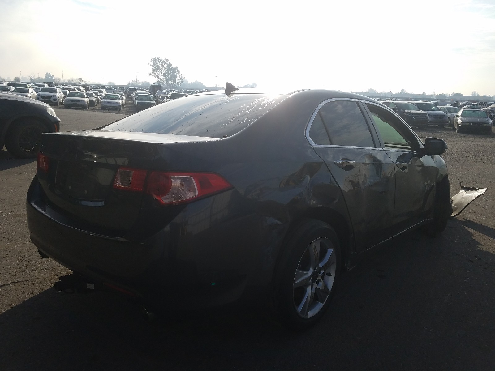 Photo 3 VIN: JH4CU2F61CC011535 - ACURA TSX TECH 