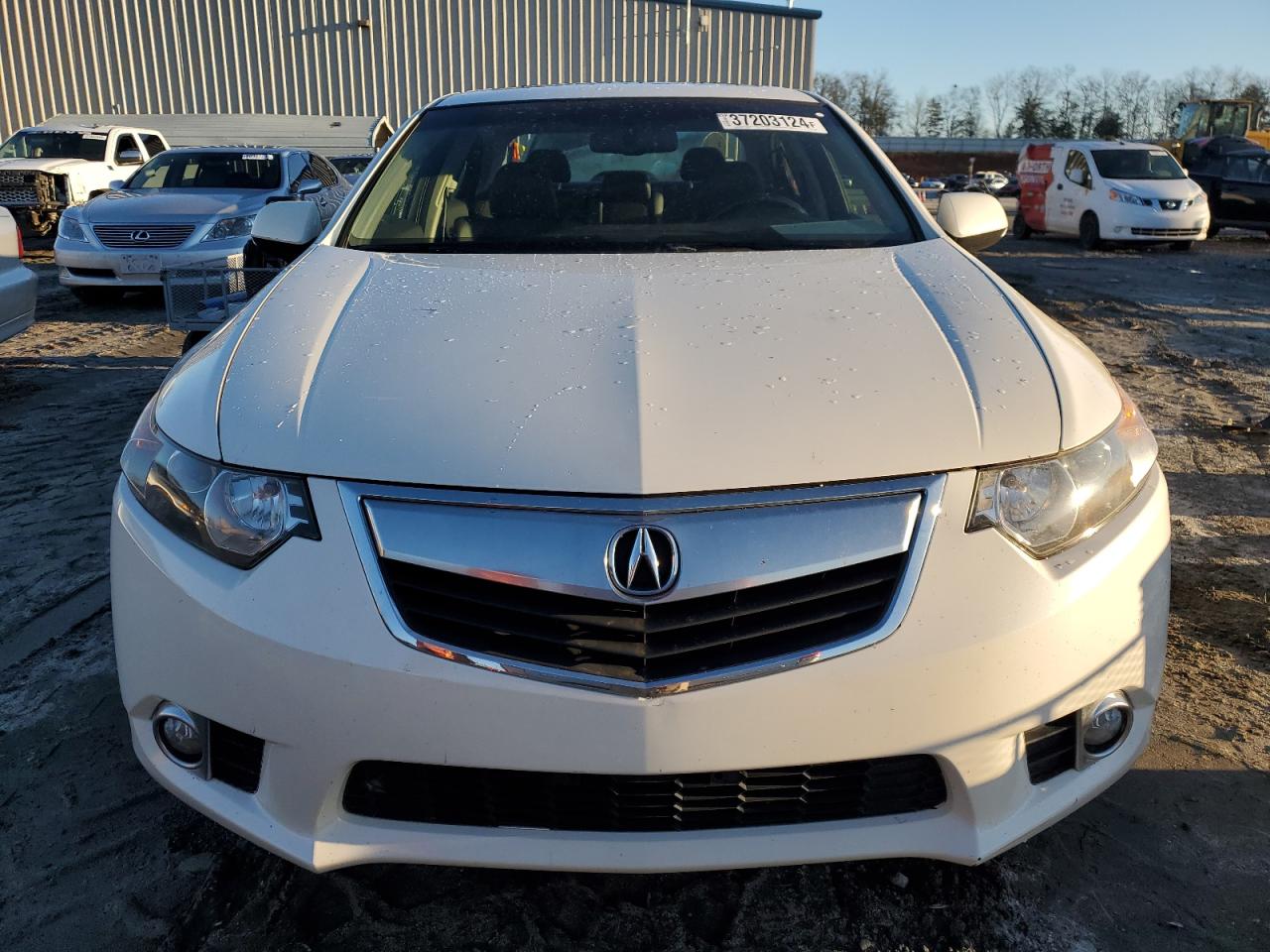 Photo 4 VIN: JH4CU2F62BC005192 - ACURA TSX 