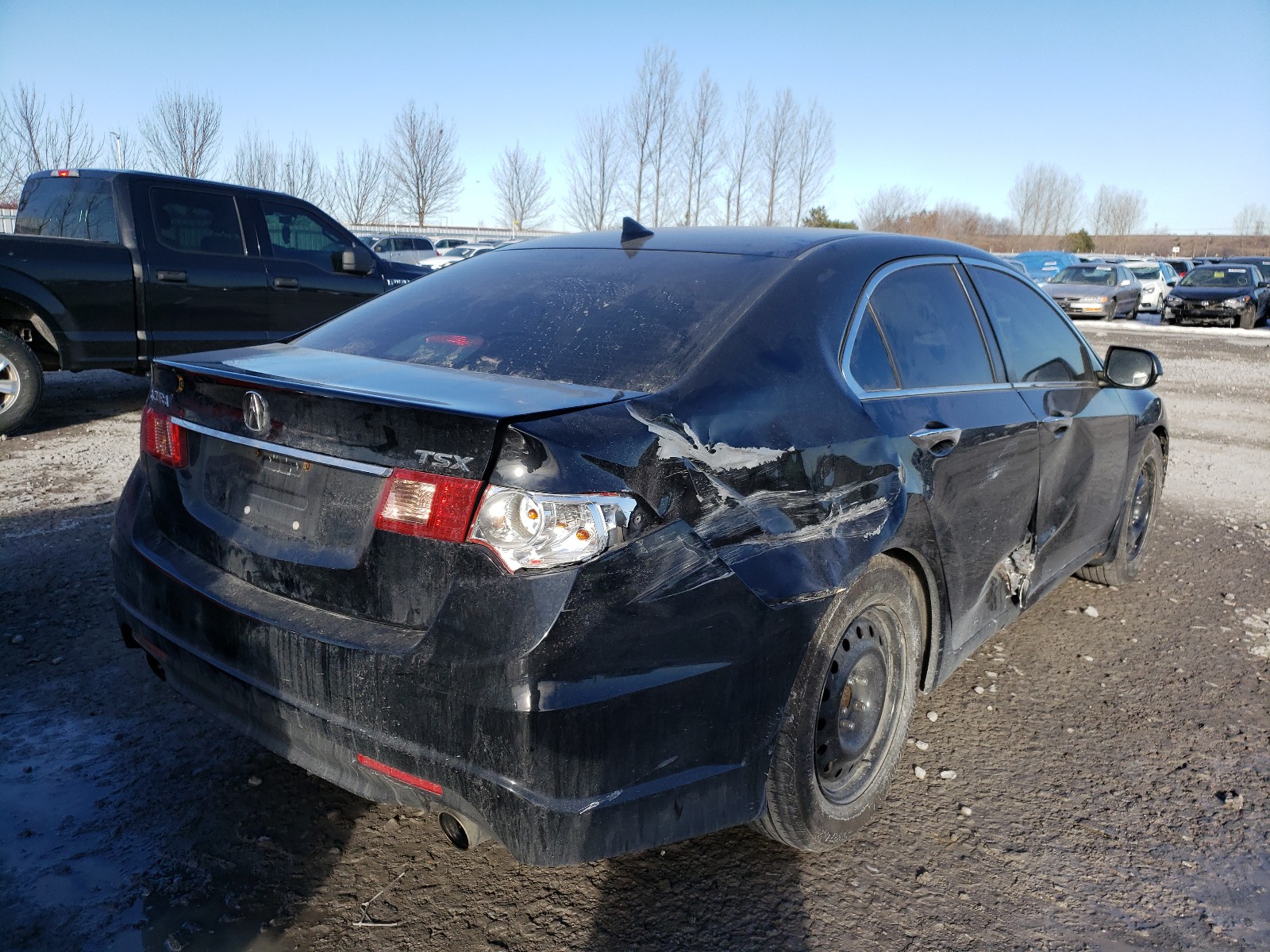 Photo 3 VIN: JH4CU2F62CC802169 - ACURA TSX TECH 