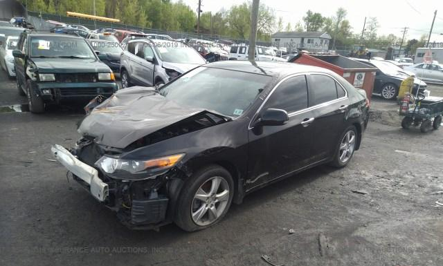 Photo 1 VIN: JH4CU2F63CC023881 - ACURA TSX 