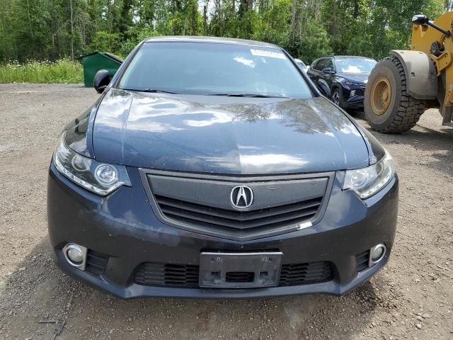 Photo 4 VIN: JH4CU2F64BC800390 - ACURA TSX 