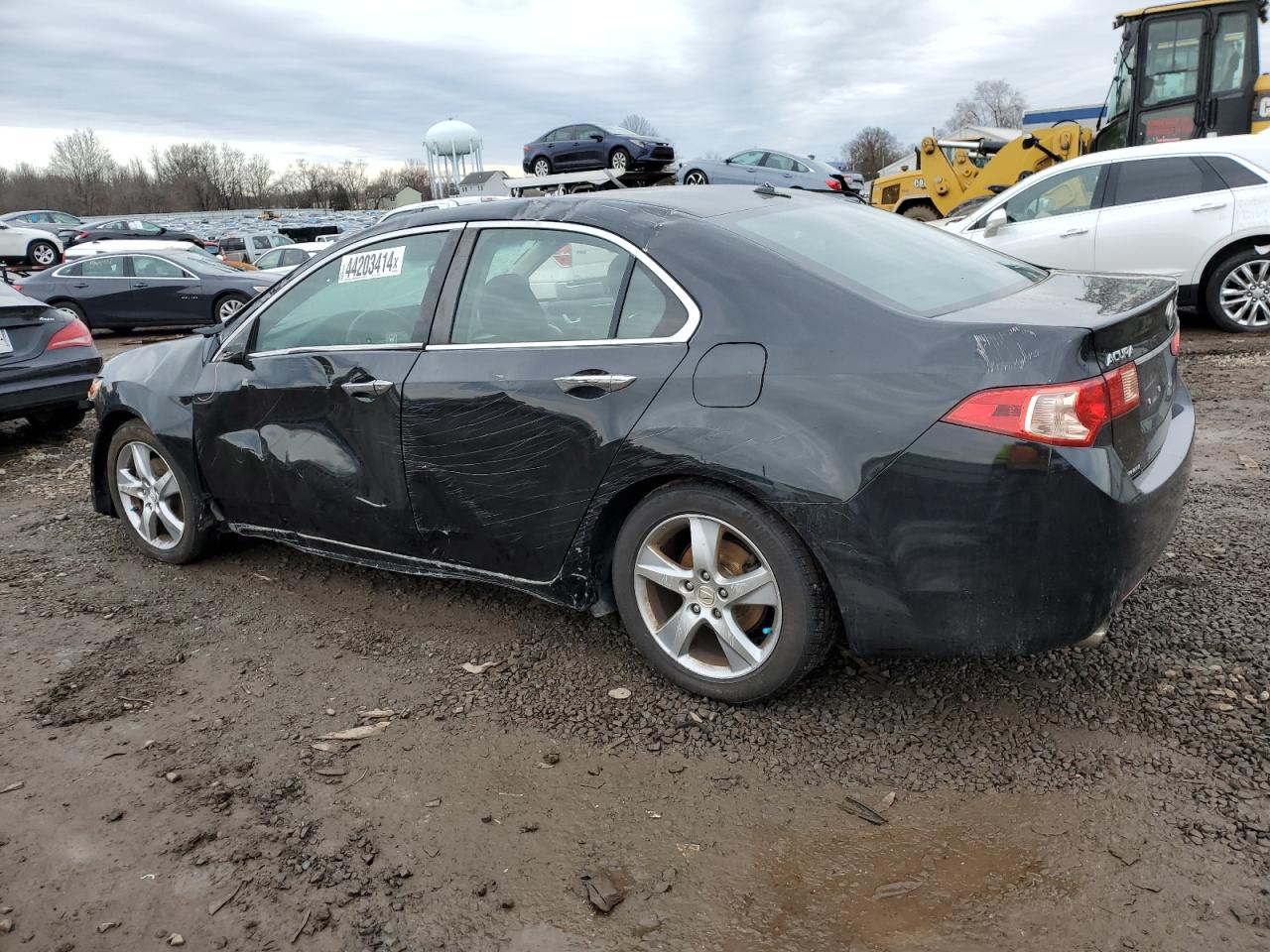 Photo 1 VIN: JH4CU2F65BC000035 - ACURA TSX 