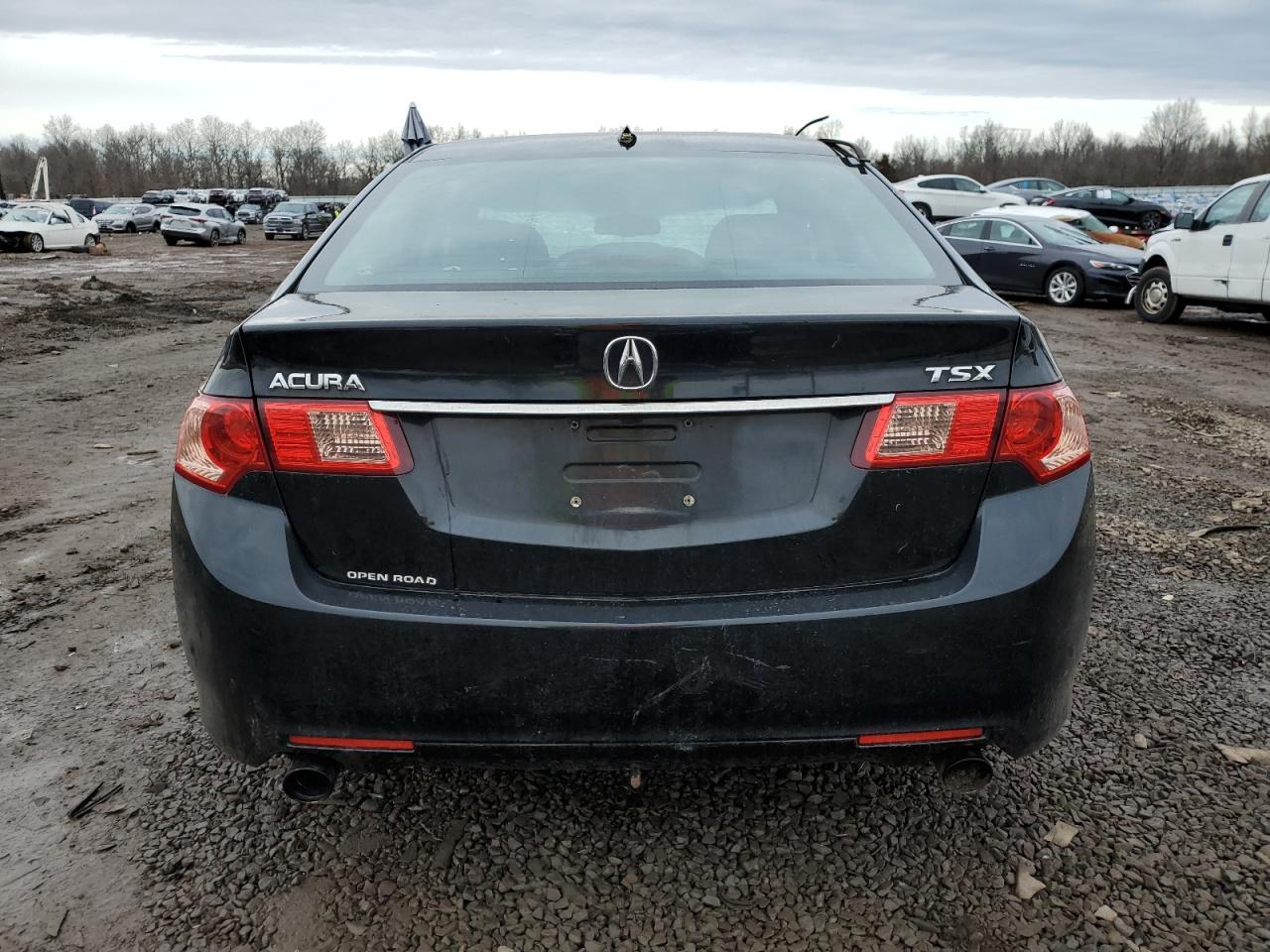 Photo 5 VIN: JH4CU2F65BC000035 - ACURA TSX 