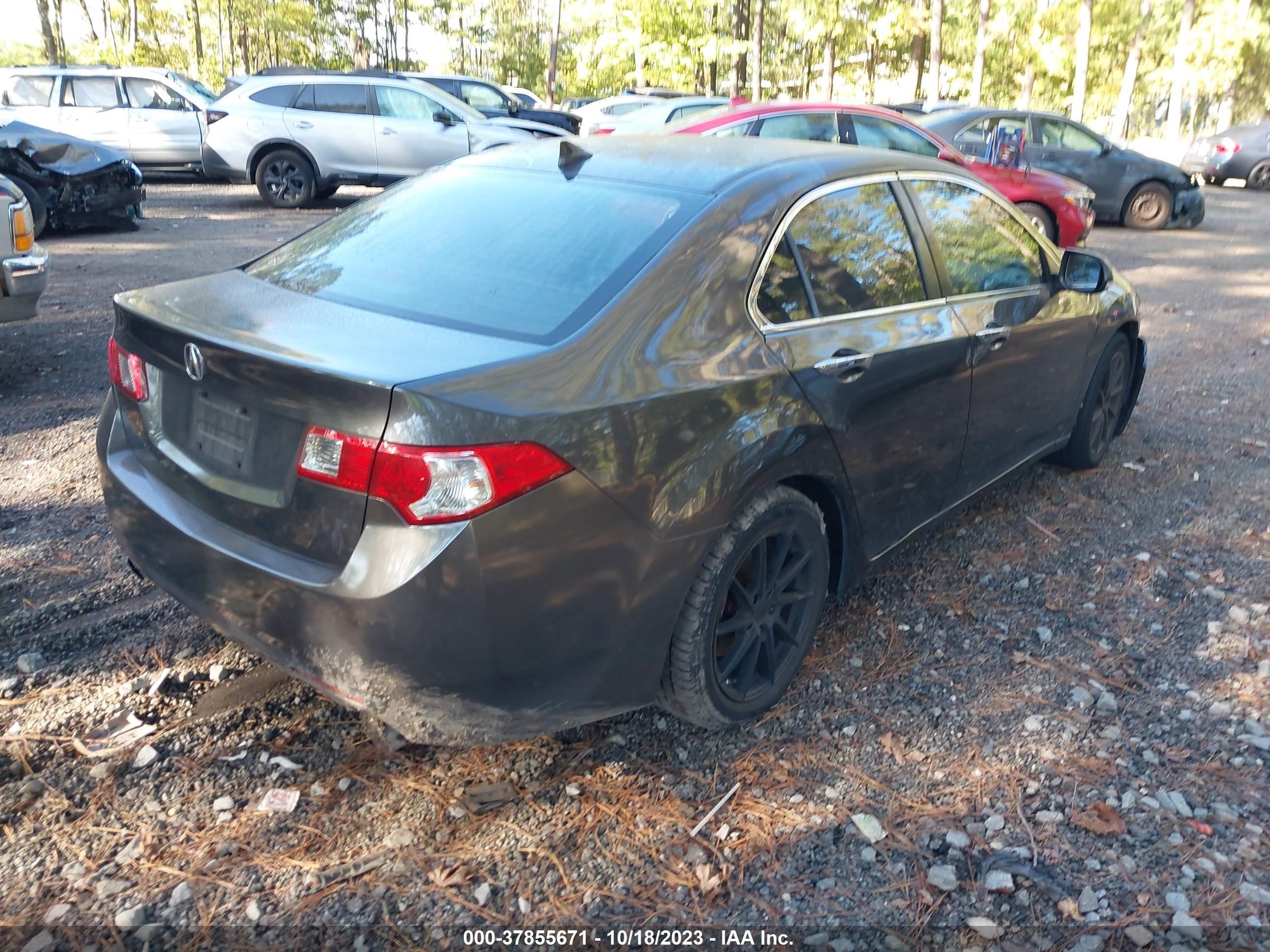 Photo 3 VIN: JH4CU2F67AC019085 - ACURA TSX 