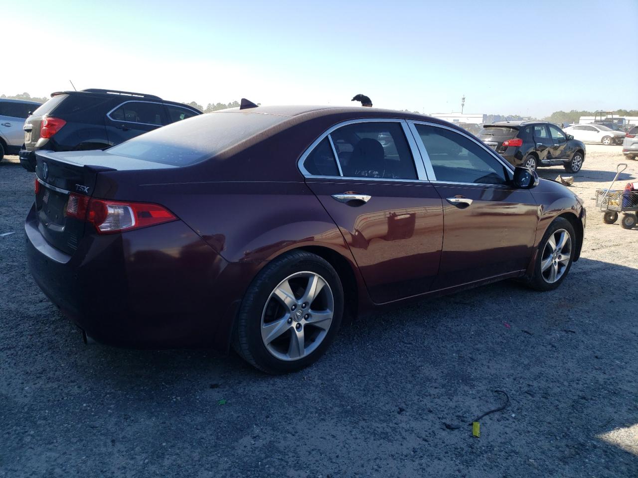 Photo 2 VIN: JH4CU2F67BC002546 - ACURA TSX 