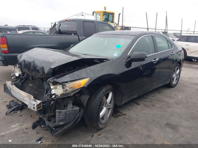 Photo 1 VIN: JH4CU2F67BC010890 - ACURA TSX 