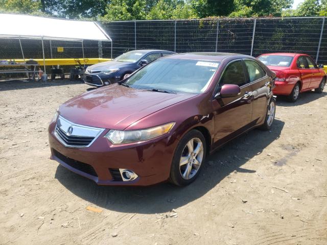 Photo 1 VIN: JH4CU2F67BC011800 - ACURA TSX 