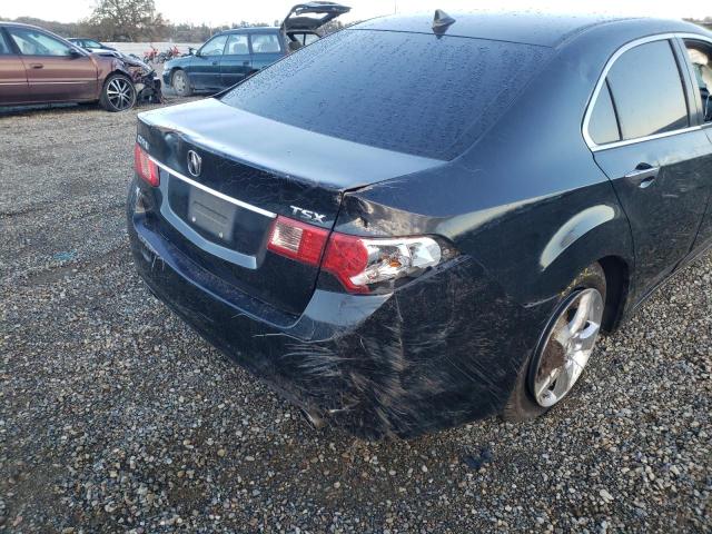 Photo 8 VIN: JH4CU2F68BC005262 - ACURA TSX 