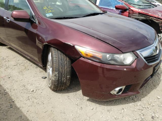 Photo 8 VIN: JH4CU2F68BC009201 - ACURA TSX 