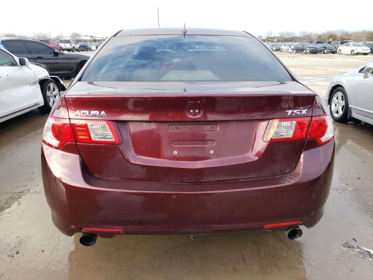 Photo 5 VIN: JH4CU2F69AC028144 - ACURA TSX 