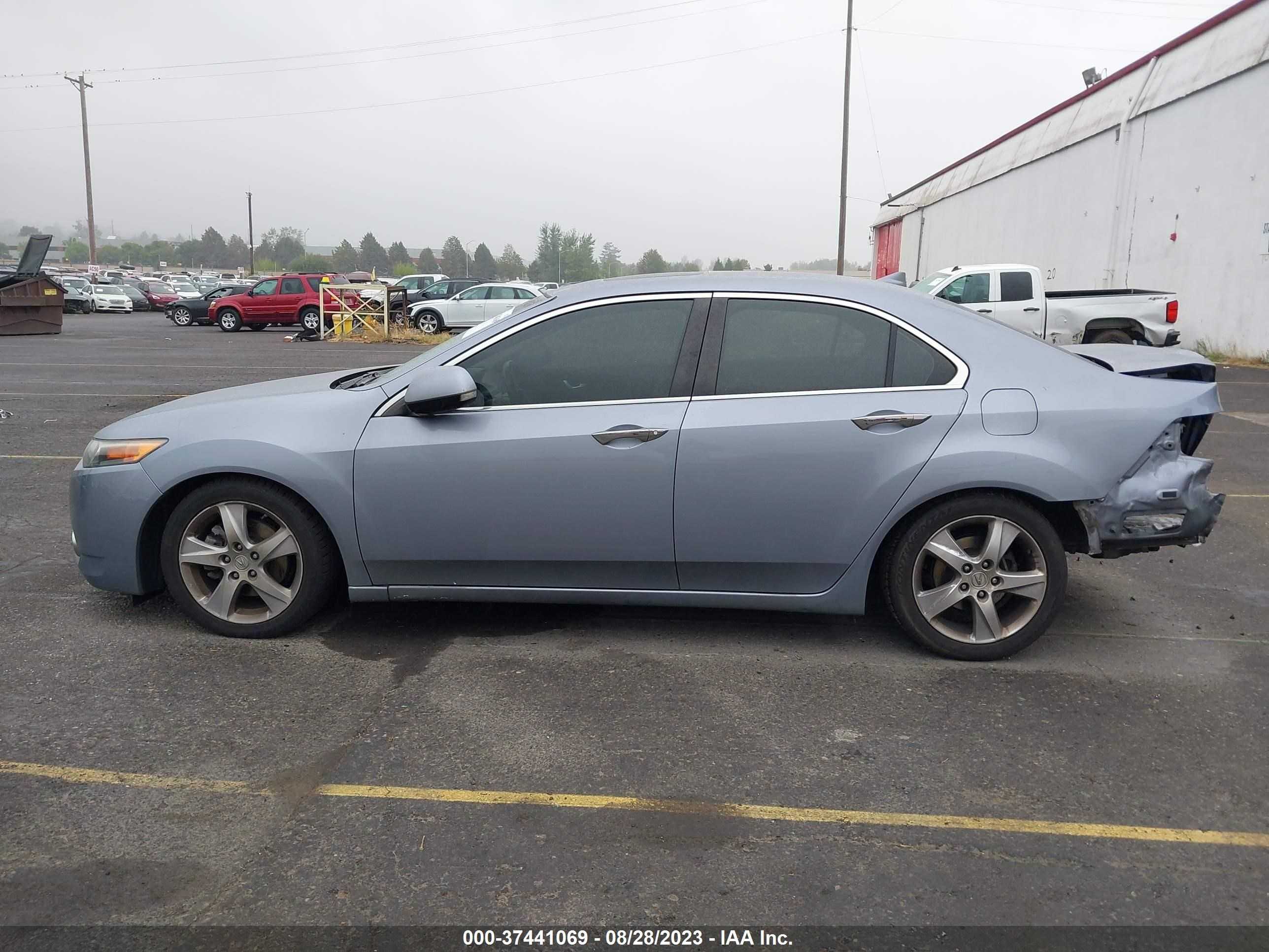 Photo 14 VIN: JH4CU2F69BC013113 - ACURA TSX 