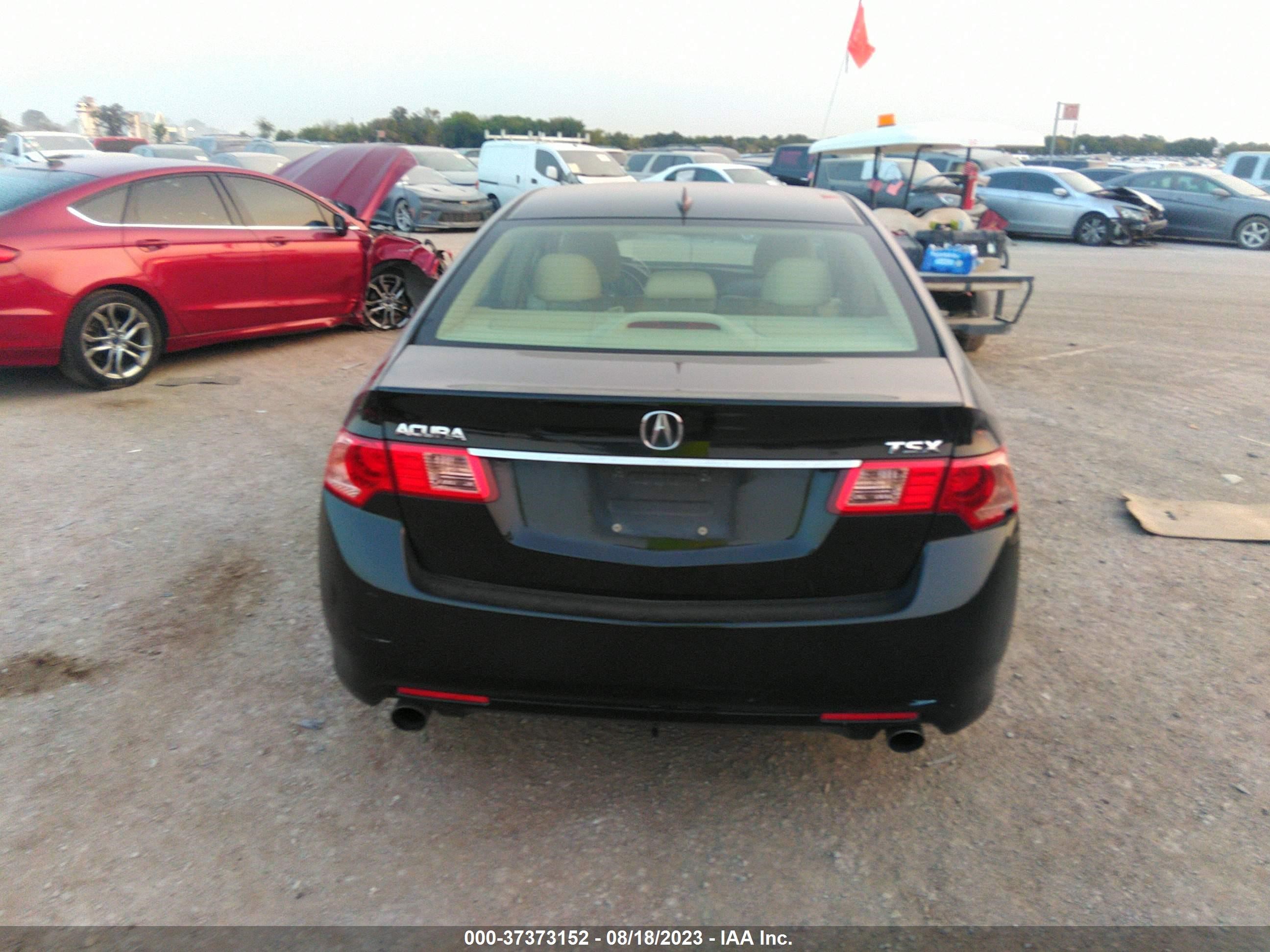 Photo 15 VIN: JH4CU2F69BC016982 - ACURA TSX 