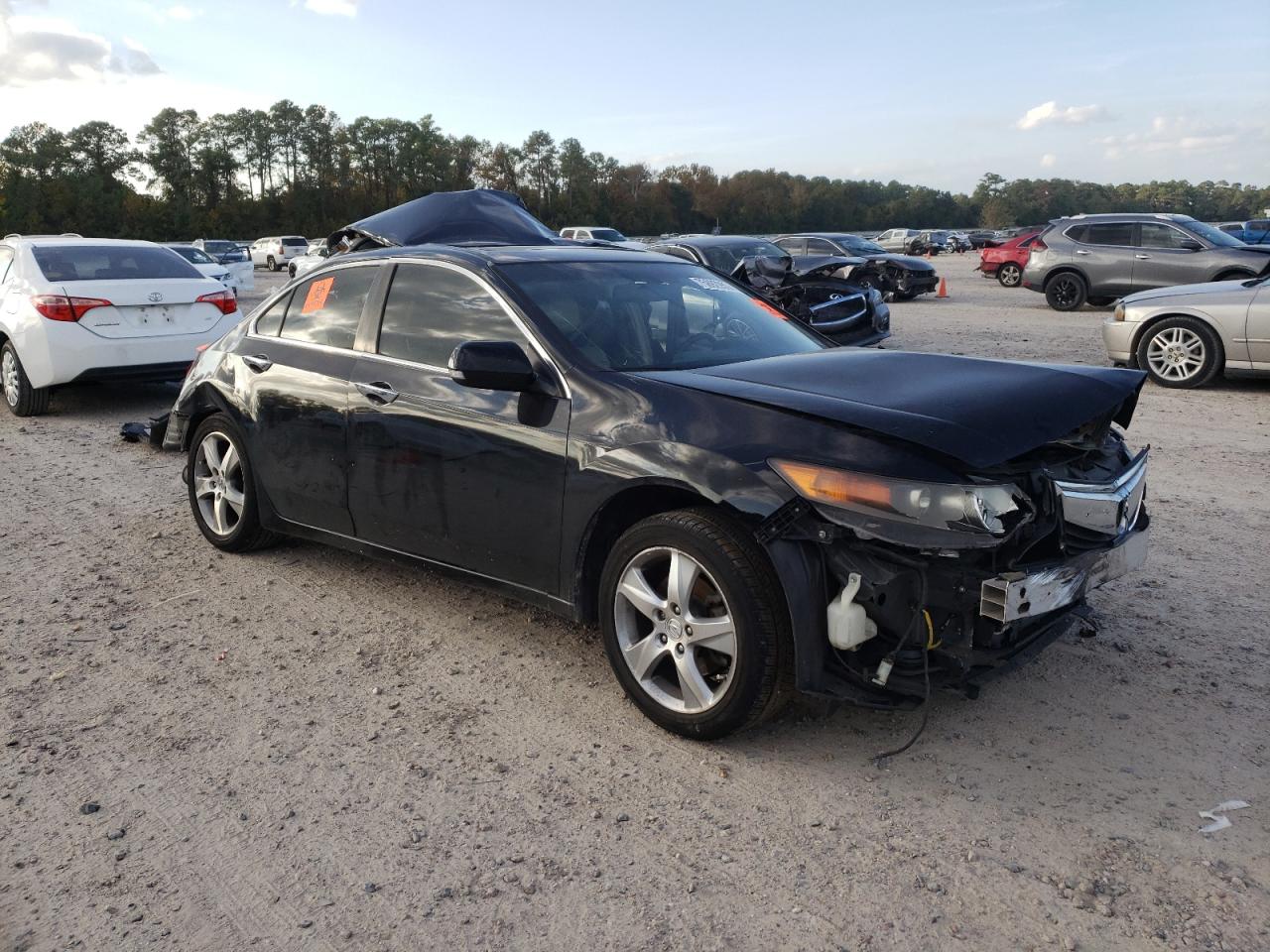 Photo 3 VIN: JH4CU2F69CC014912 - ACURA TSX 