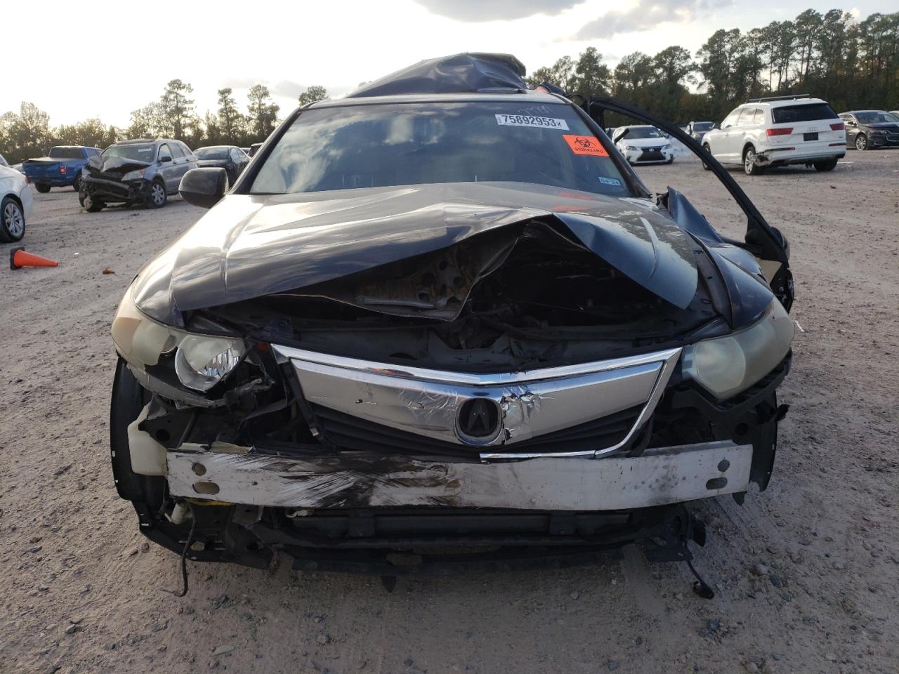 Photo 4 VIN: JH4CU2F69CC014912 - ACURA TSX 