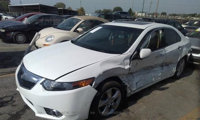 Photo 5 VIN: JH4CU2F69CC020919 - ACURA TSX 