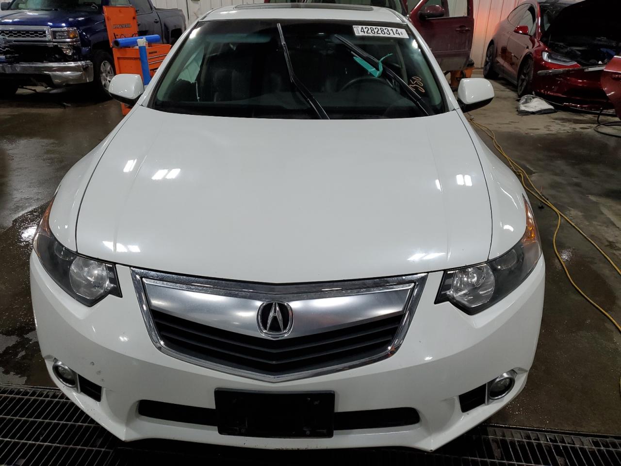 Photo 4 VIN: JH4CU2F69DC005080 - ACURA TSX 