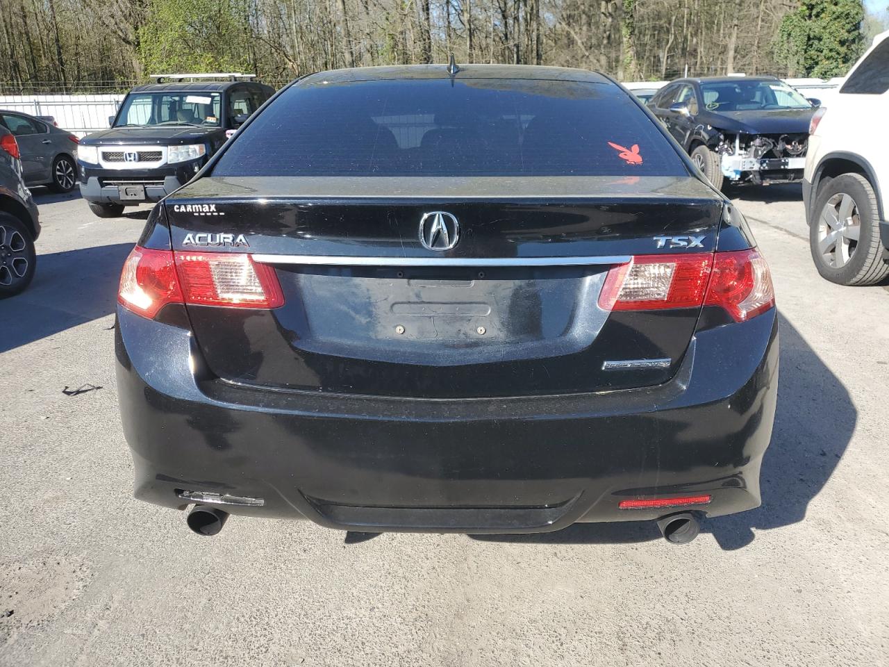 Photo 5 VIN: JH4CU2F84DC000046 - ACURA TSX 