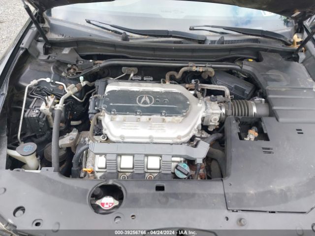 Photo 9 VIN: JH4CU4F49AC000354 - ACURA TSX 