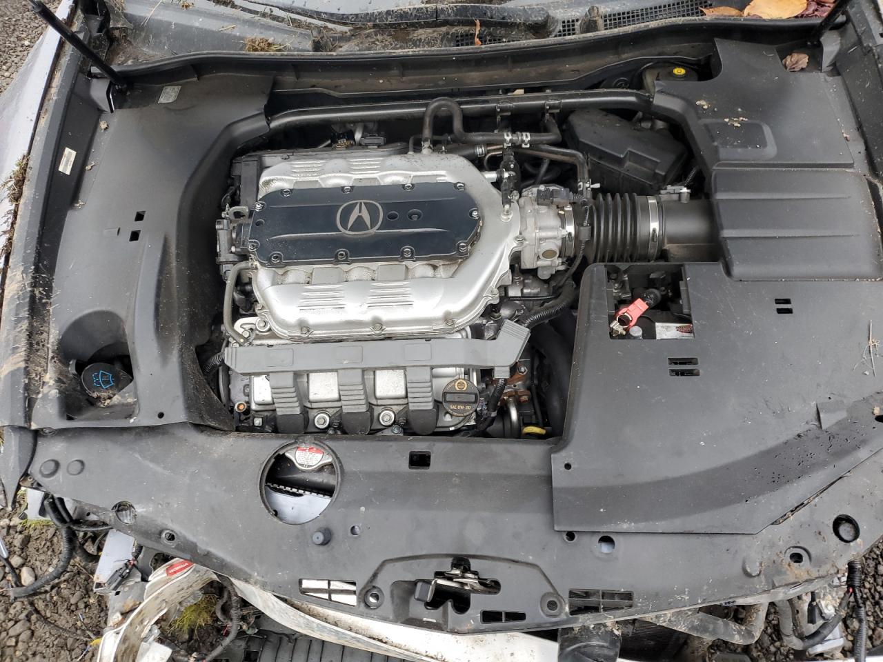 Photo 10 VIN: JH4CU4F63CC000239 - ACURA TSX 