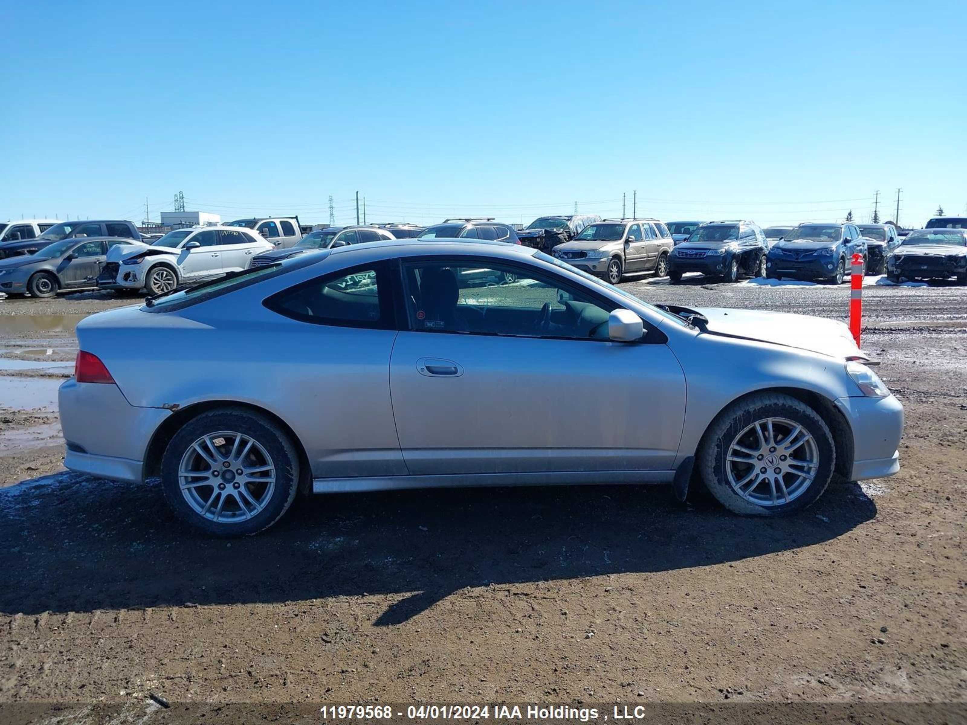 Photo 12 VIN: JH4DC53815S801263 - ACURA RSX 