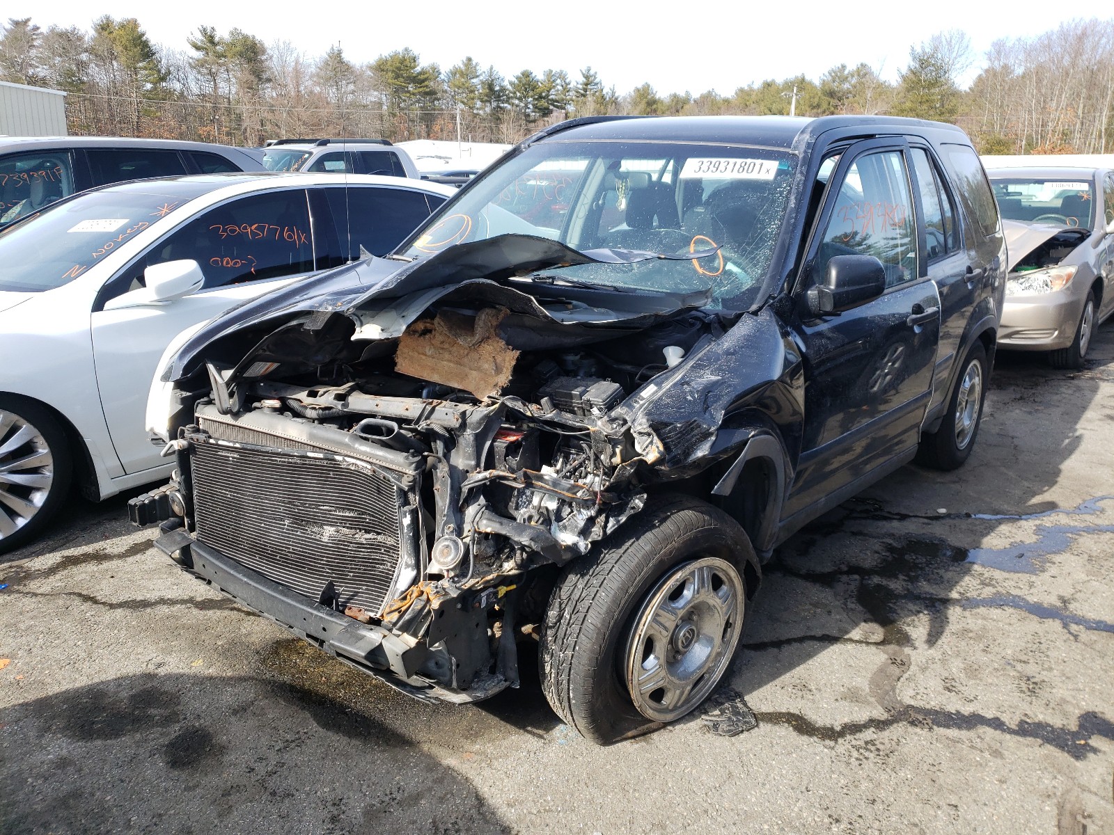 Photo 1 VIN: JHLRD68555C005136 - HONDA CR-V LX 