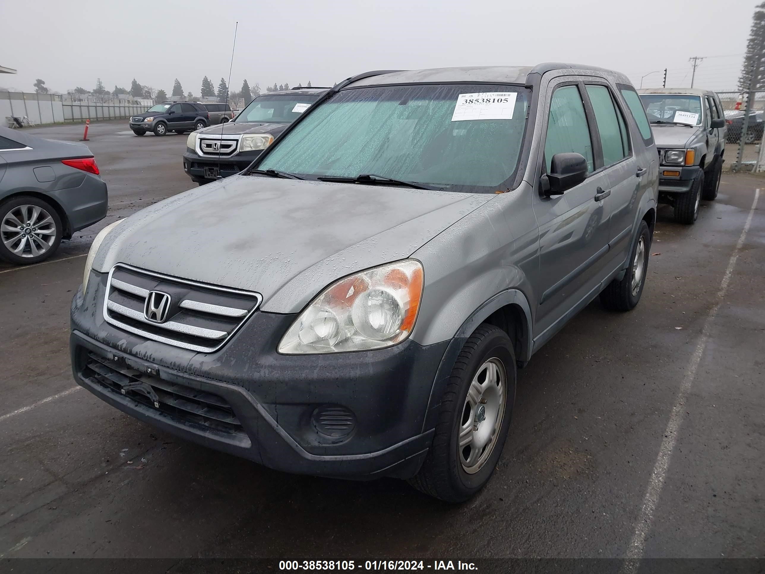 Photo 1 VIN: JHLRD68565C019398 - HONDA CR-V 