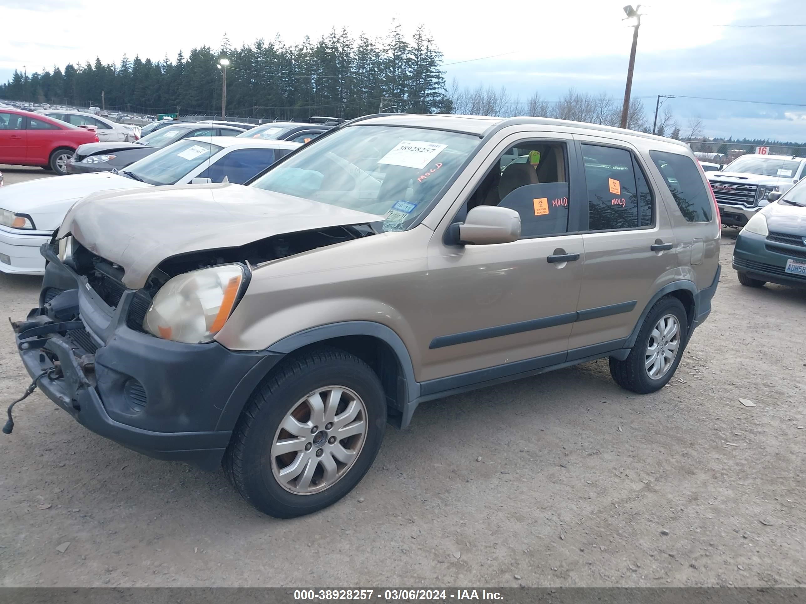 Photo 1 VIN: JHLRD68876C017591 - HONDA CR-V 