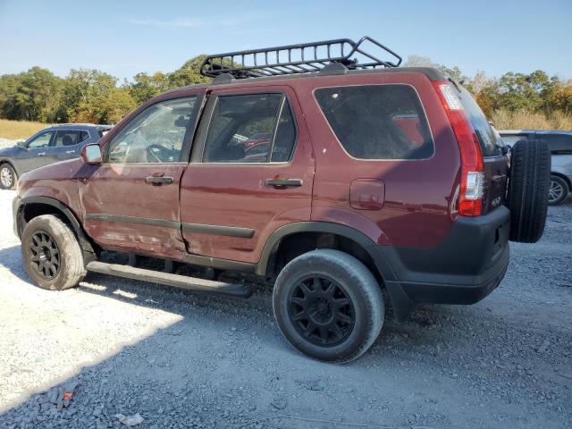 Photo 1 VIN: JHLRD688X6C014149 - HONDA CR-V EX 