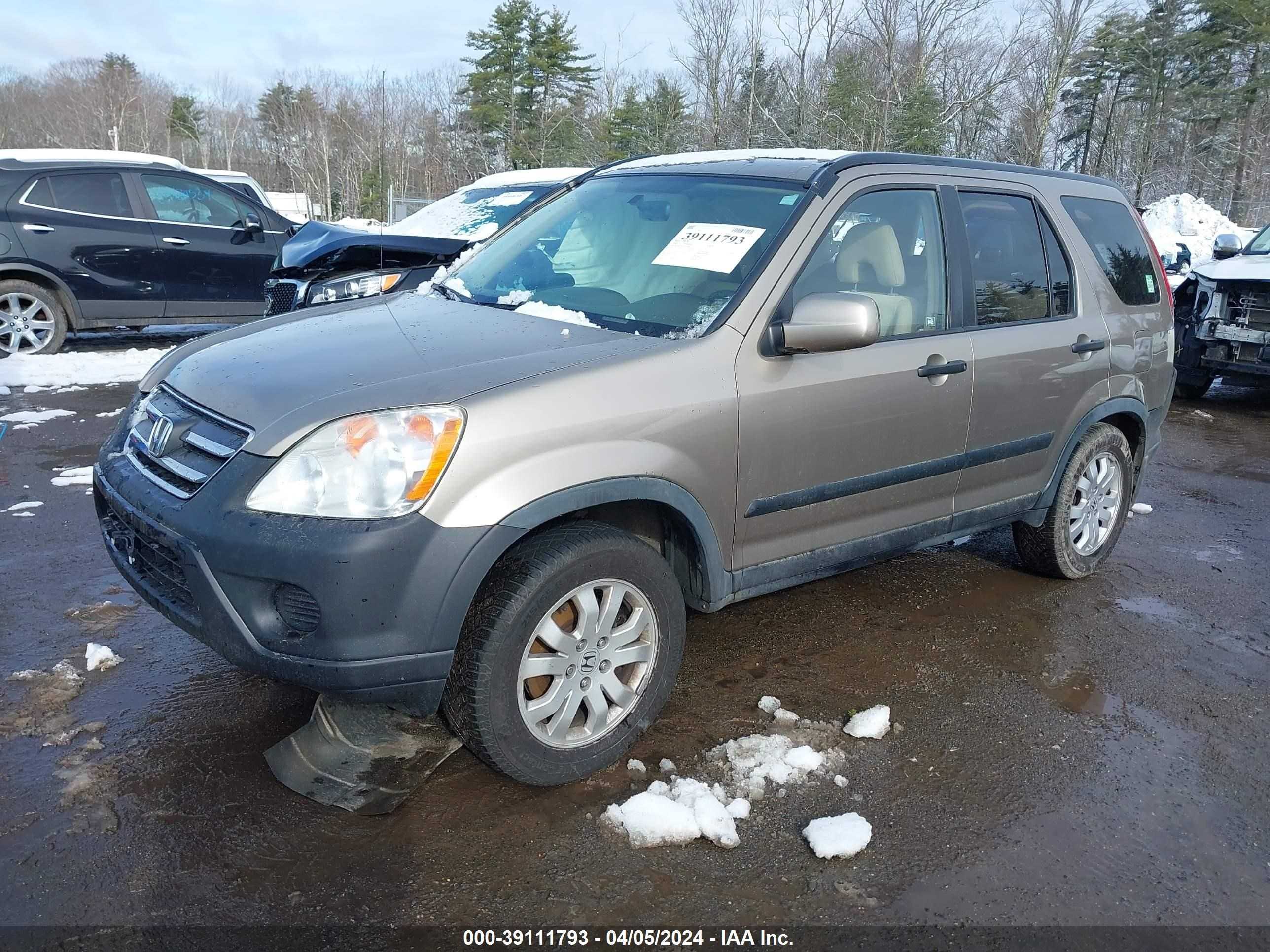 Photo 1 VIN: JHLRD77816C034488 - HONDA CR-V 