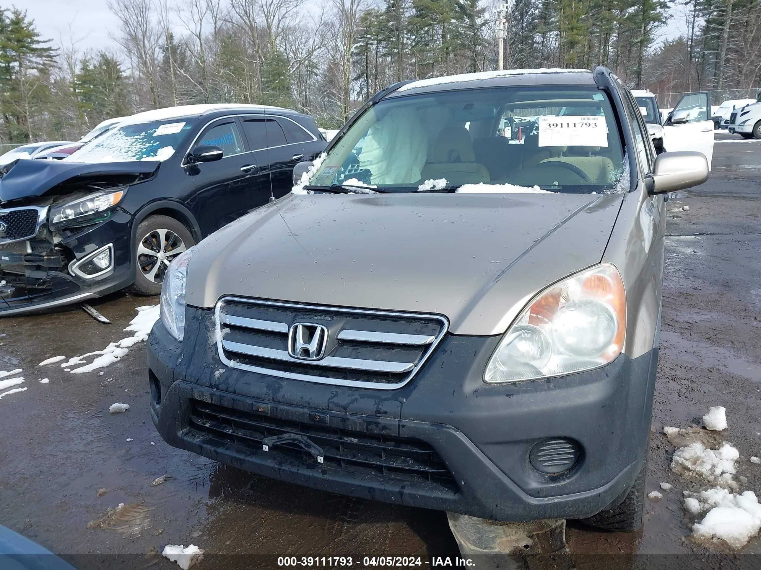 Photo 11 VIN: JHLRD77816C034488 - HONDA CR-V 