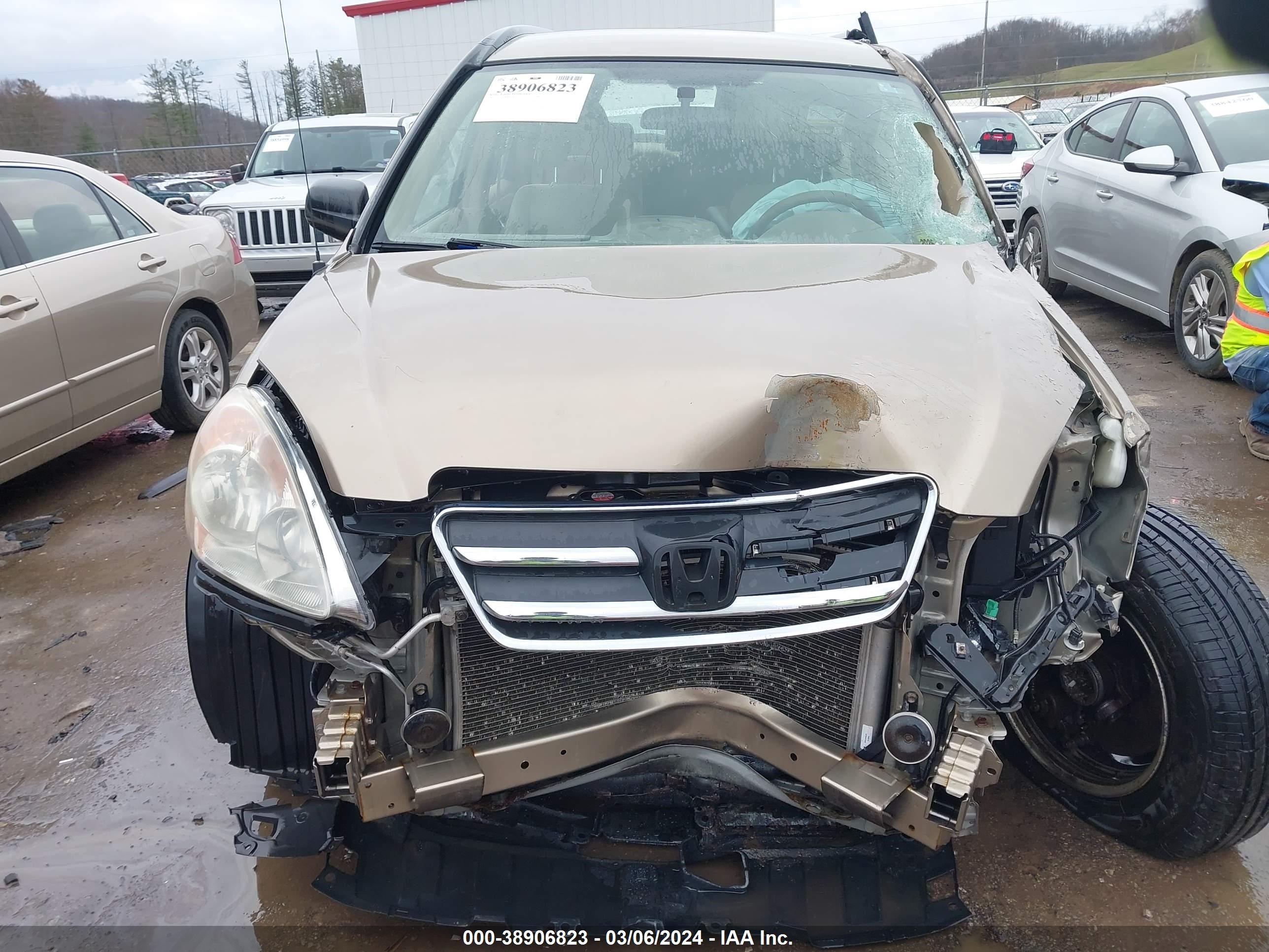 Photo 11 VIN: JHLRD78565C045750 - HONDA CR-V 