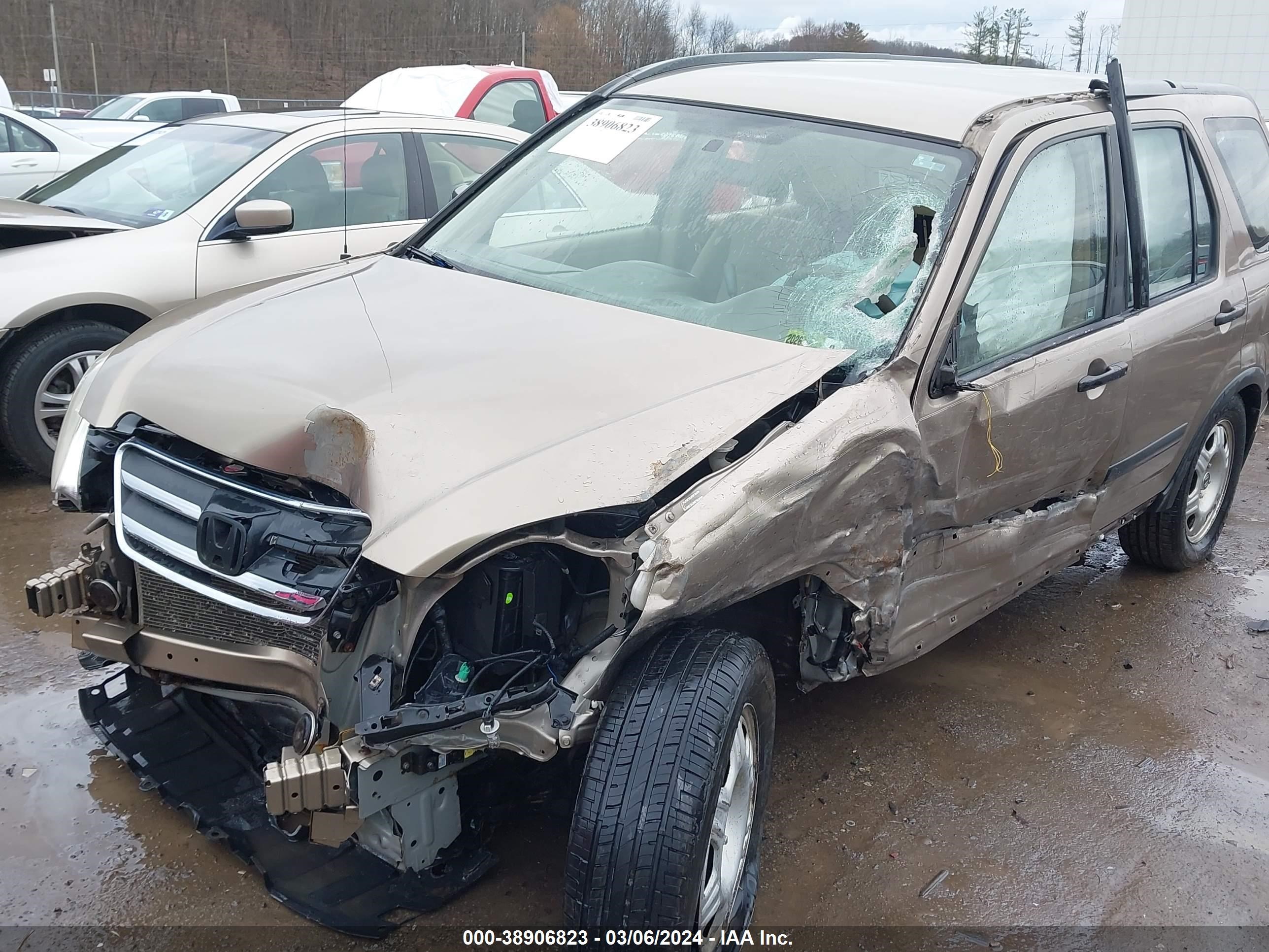 Photo 4 VIN: JHLRD78565C045750 - HONDA CR-V 