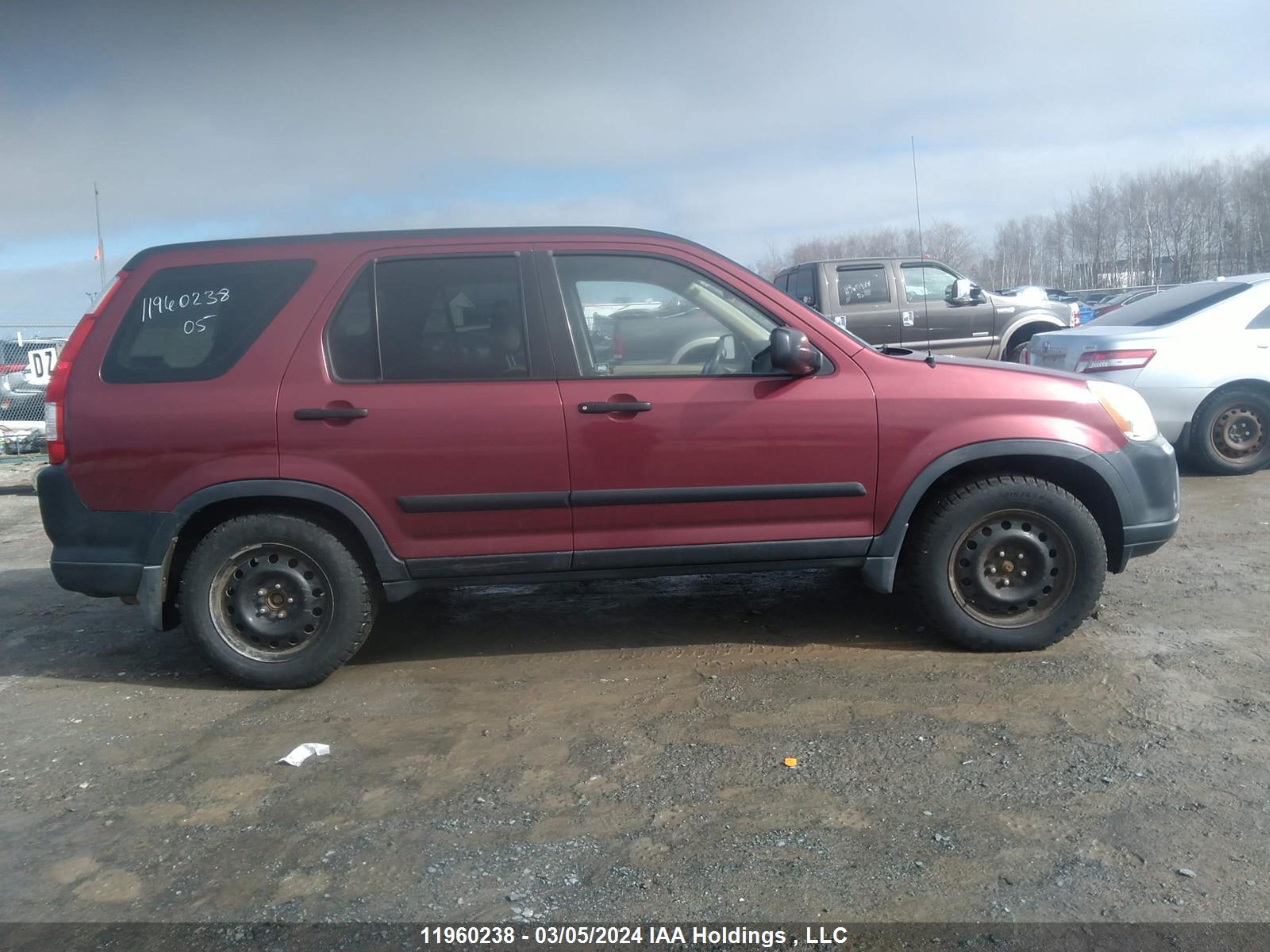 Photo 13 VIN: JHLRD78575C813865 - HONDA CR-V 