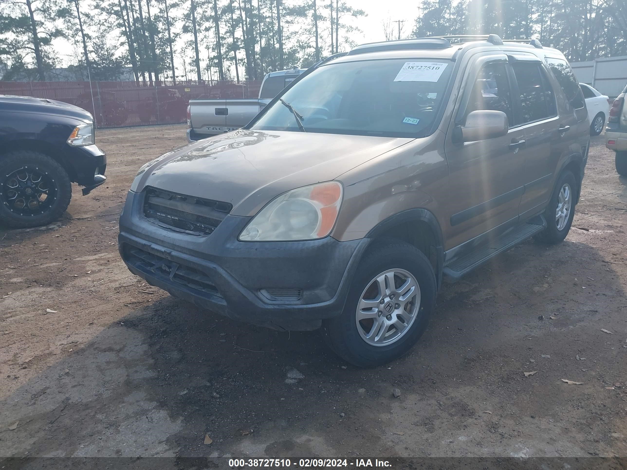 Photo 1 VIN: JHLRD78812C038646 - HONDA CR-V 