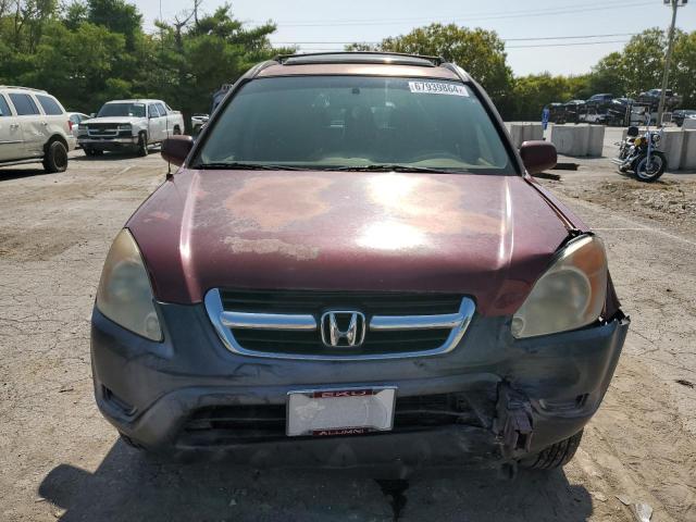 Photo 4 VIN: JHLRD78834C042698 - HONDA CR-V EX 