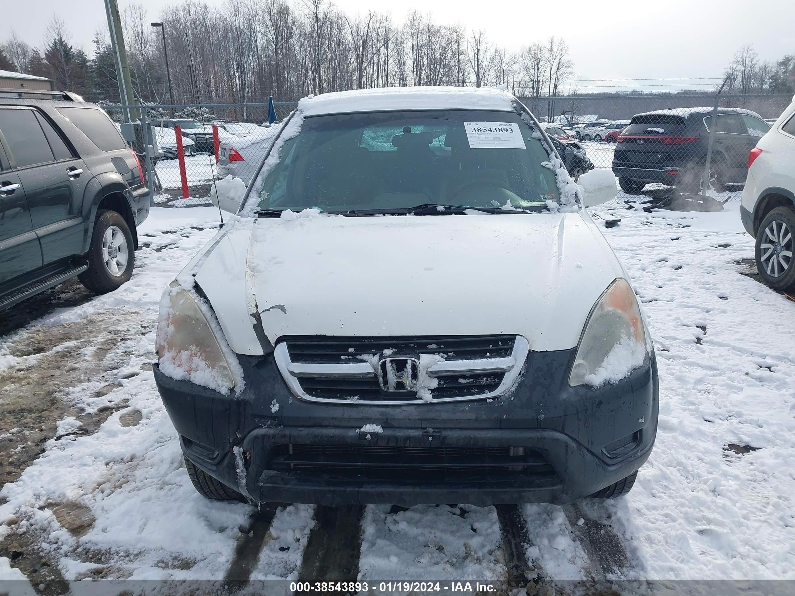 Photo 11 VIN: JHLRD78852C017878 - HONDA CR-V 