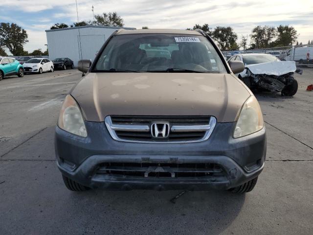 Photo 4 VIN: JHLRD78852C093679 - HONDA CR-V 