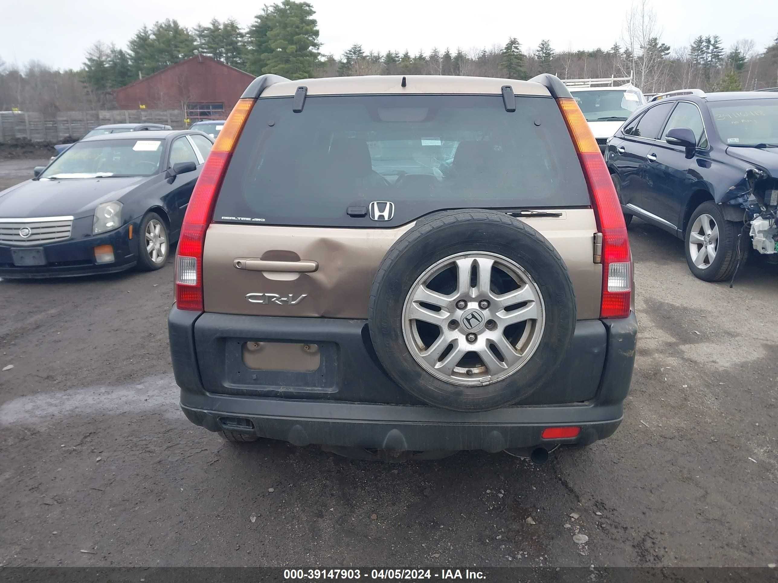 Photo 16 VIN: JHLRD78854C060121 - HONDA CR-V 